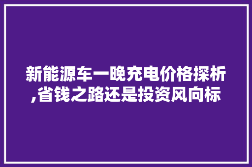 新能源车一晚充电价格探析,省钱之路还是投资风向标