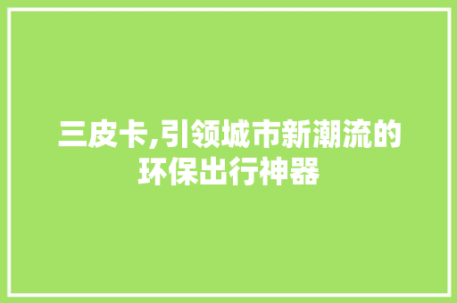 三皮卡,引领城市新潮流的环保出行神器
