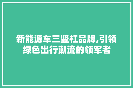 新能源车三竖杠品牌,引领绿色出行潮流的领军者