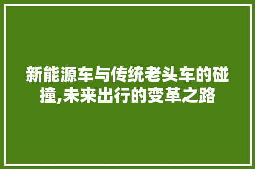 新能源车与传统老头车的碰撞,未来出行的变革之路