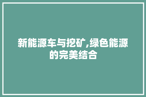 新能源车与挖矿,绿色能源的完美结合