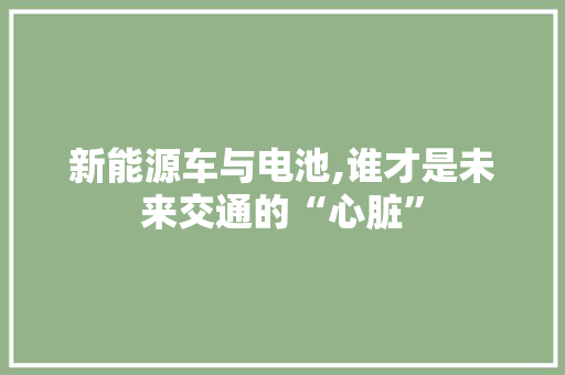 新能源车与电池,谁才是未来交通的“心脏”