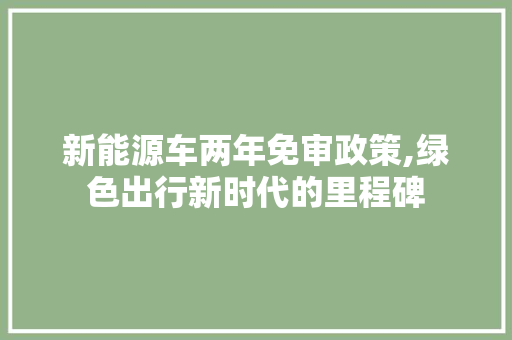 新能源车两年免审政策,绿色出行新时代的里程碑