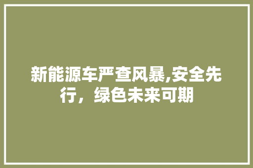 新能源车严查风暴,安全先行，绿色未来可期