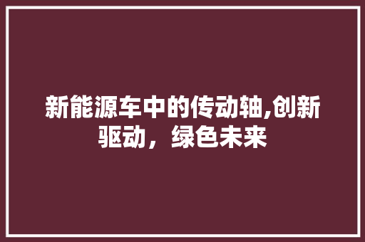 新能源车中的传动轴,创新驱动，绿色未来