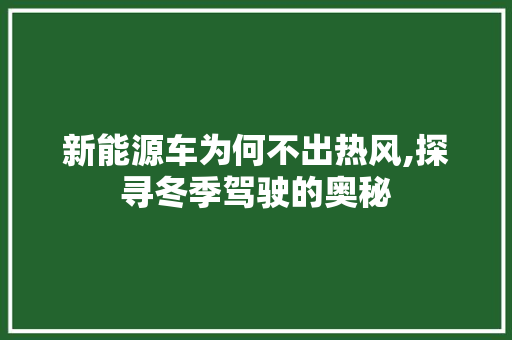 新能源车为何不出热风,探寻冬季驾驶的奥秘