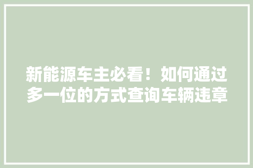 新能源车主必看！如何通过多一位的方式查询车辆违章记录