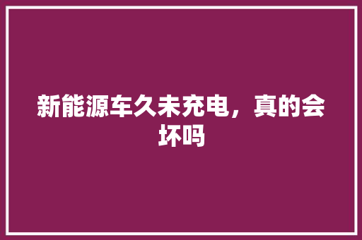 新能源车久未充电，真的会坏吗