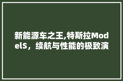 新能源车之王,特斯拉ModelS，续航与性能的极致演绎