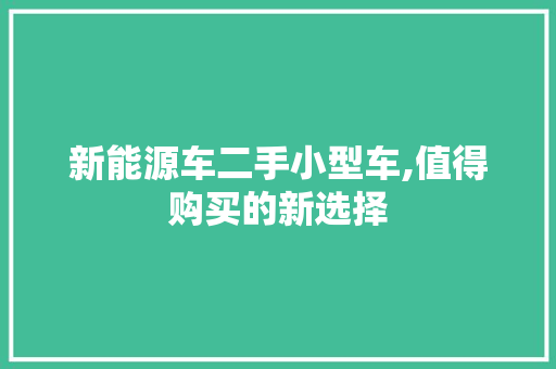 新能源车二手小型车,值得购买的新选择