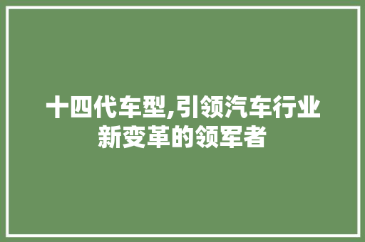十四代车型,引领汽车行业新变革的领军者