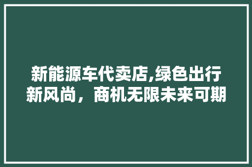 新能源车代卖店,绿色出行新风尚，商机无限未来可期