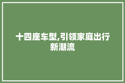 十四座车型,引领家庭出行新潮流