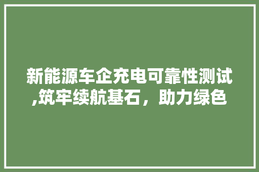 新能源车企充电可靠性测试,筑牢续航基石，助力绿色出行