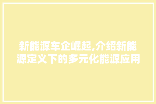 新能源车企崛起,介绍新能源定义下的多元化能源应用