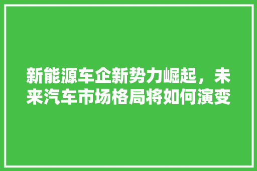新能源车企新势力崛起，未来汽车市场格局将如何演变