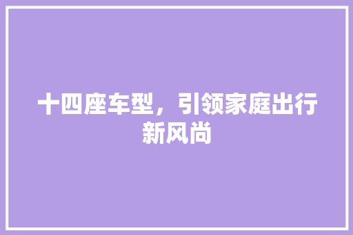 十四座车型，引领家庭出行新风尚