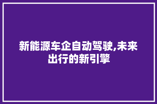 新能源车企自动驾驶,未来出行的新引擎