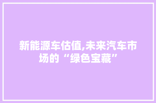 新能源车估值,未来汽车市场的“绿色宝藏”
