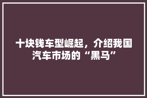 十块钱车型崛起，介绍我国汽车市场的“黑马”