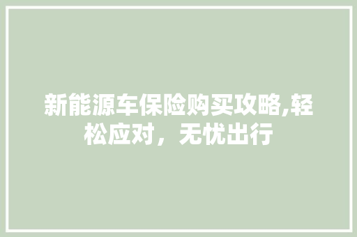 新能源车保险购买攻略,轻松应对，无忧出行