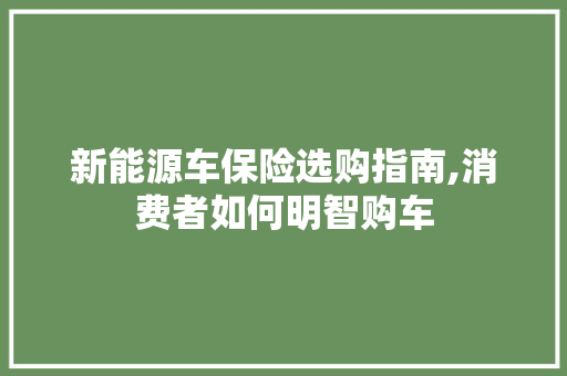 新能源车保险选购指南,消费者如何明智购车