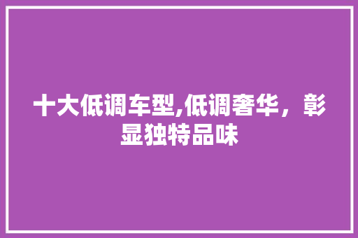 十大低调车型,低调奢华，彰显独特品味