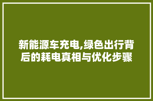 新能源车充电,绿色出行背后的耗电真相与优化步骤