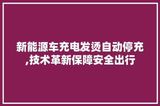 新能源车充电发烫自动停充,技术革新保障安全出行