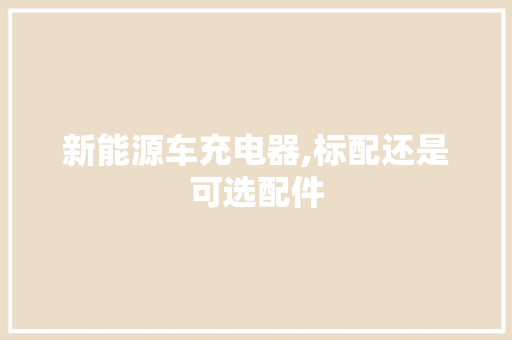 新能源车充电器,标配还是可选配件