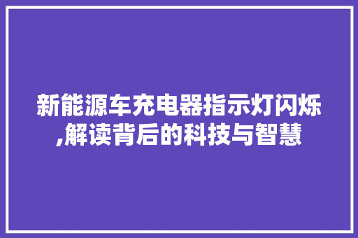 新能源车充电器指示灯闪烁,解读背后的科技与智慧