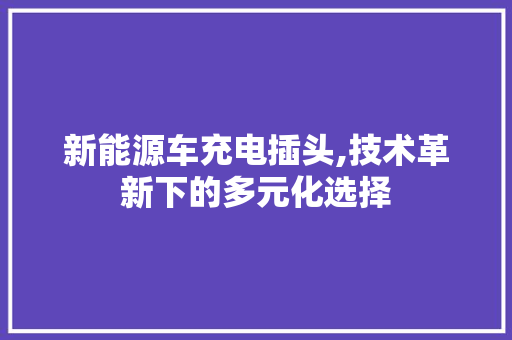 新能源车充电插头,技术革新下的多元化选择