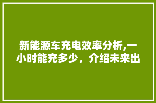 新能源车充电效率分析,一小时能充多少，介绍未来出行新趋势