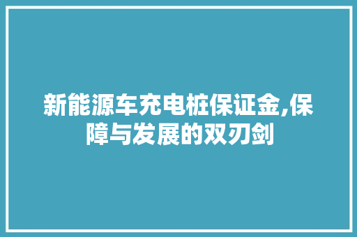新能源车充电桩保证金,保障与发展的双刃剑