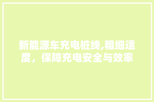 新能源车充电桩线,粗细适度，保障充电安全与效率