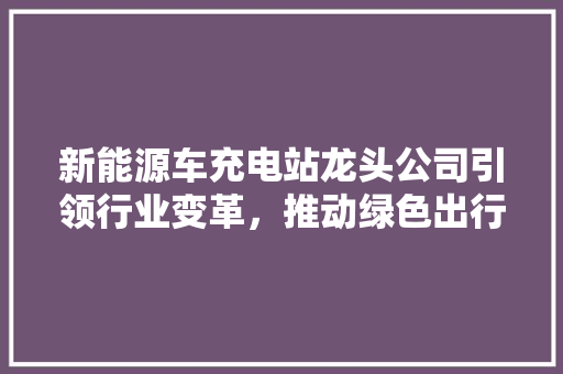 新能源车充电站龙头公司引领行业变革，推动绿色出行新风尚