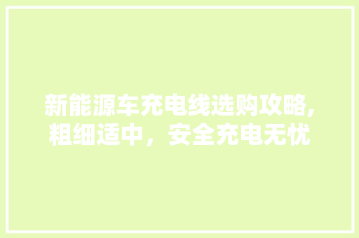 新能源车充电线选购攻略,粗细适中，安全充电无忧