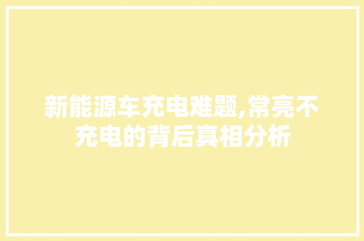 新能源车充电难题,常亮不充电的背后真相分析