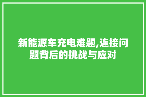 新能源车充电难题,连接问题背后的挑战与应对