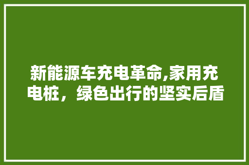 新能源车充电革命,家用充电桩，绿色出行的坚实后盾