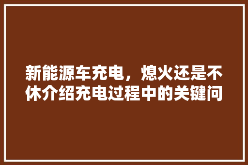 新能源车充电，熄火还是不休介绍充电过程中的关键问题