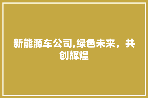 新能源车公司,绿色未来，共创辉煌