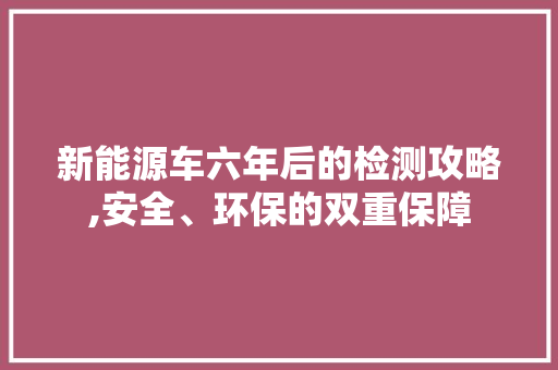 新能源车六年后的检测攻略,安全、环保的双重保障