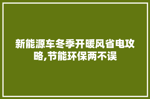 新能源车冬季开暖风省电攻略,节能环保两不误