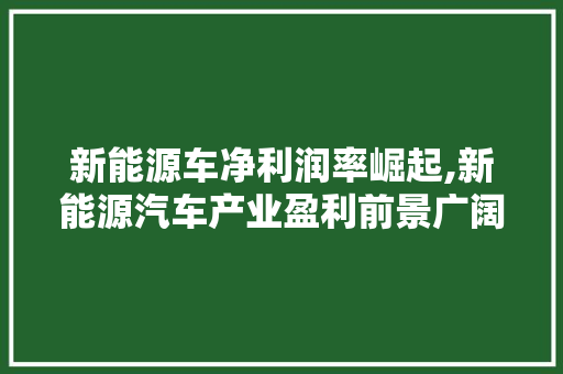 新能源车净利润率崛起,新能源汽车产业盈利前景广阔