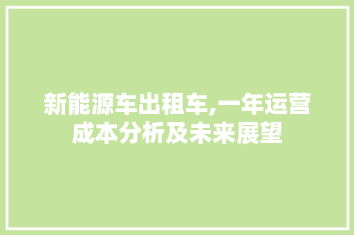 新能源车出租车,一年运营成本分析及未来展望