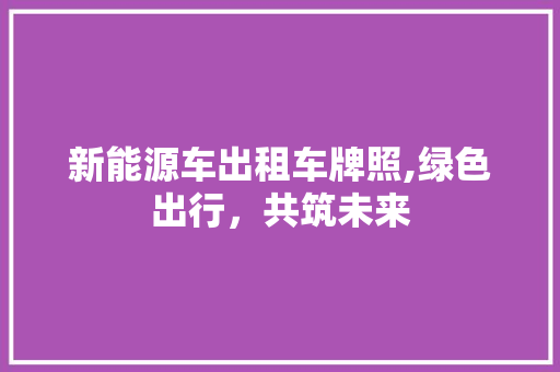 新能源车出租车牌照,绿色出行，共筑未来