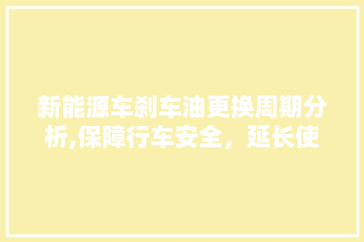 新能源车刹车油更换周期分析,保障行车安全，延长使用寿命