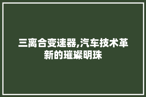 三离合变速器,汽车技术革新的璀璨明珠