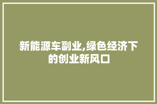 新能源车副业,绿色经济下的创业新风口